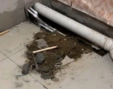 东湖卫生间漏水检测哪家好
